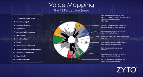 voice-map-12-perception-zones
